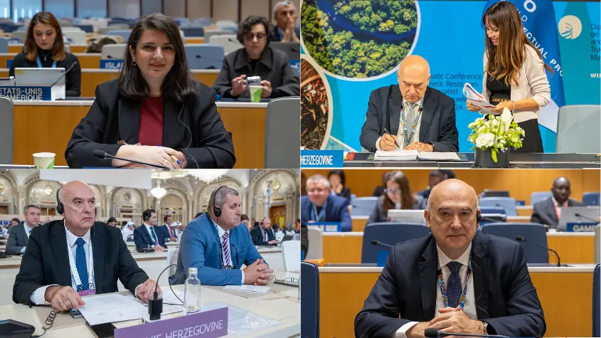 Photos at WIPO-related activities