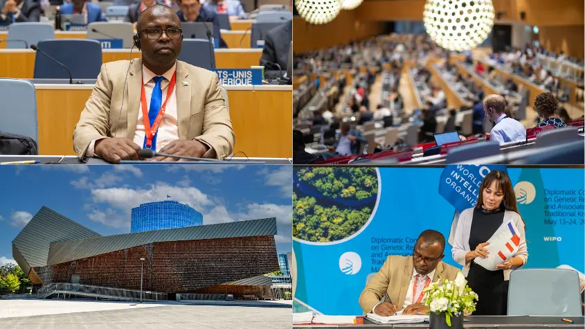 Photos at WIPO-related activities