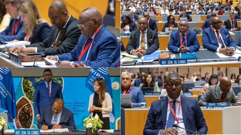 Photos at WIPO-related activities