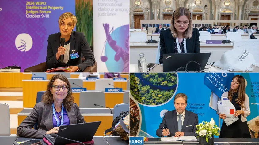 Photos at WIPO-related activities