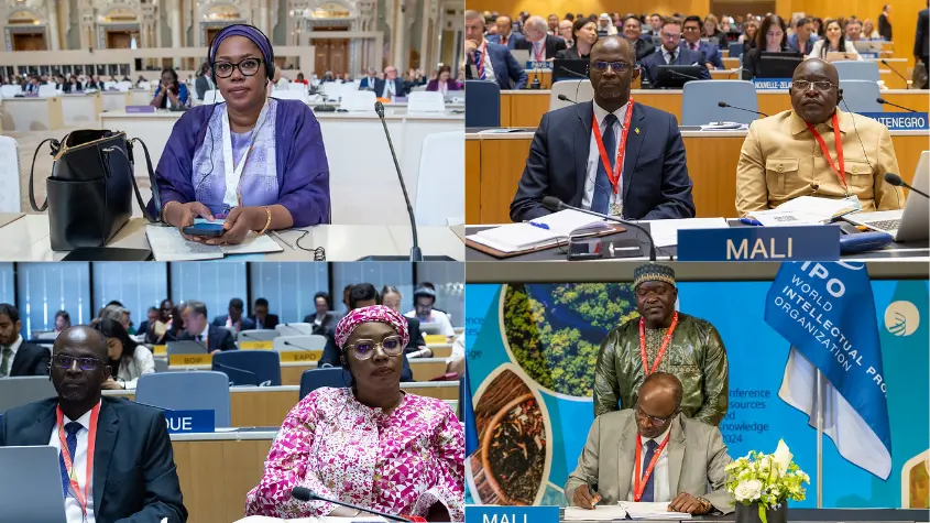 Photos at WIPO-related activities