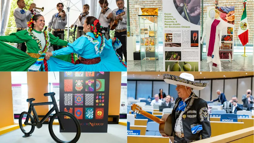 Photos at WIPO-related activities