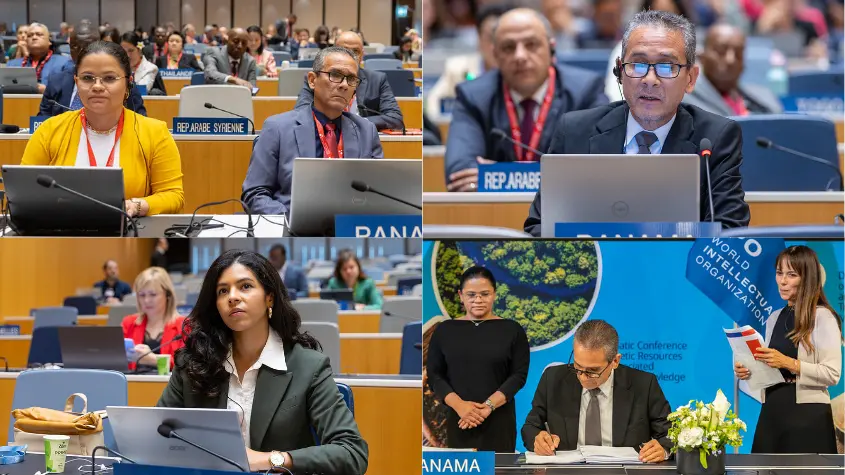 Photos at WIPO-related activities