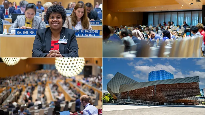 Photos at WIPO-related activities