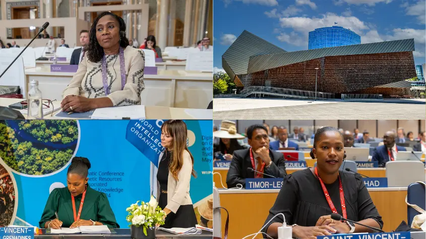Photos at WIPO-related activities