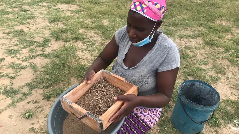 WFS member separate seeds from debris